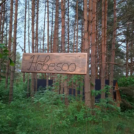 Campsite Hobesoo Puhkekeskus